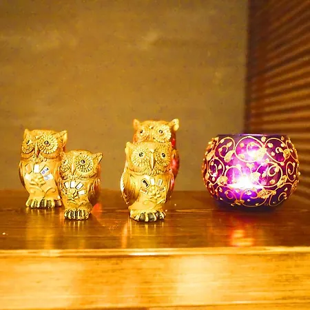 Complex Casa De Playa Luxury And